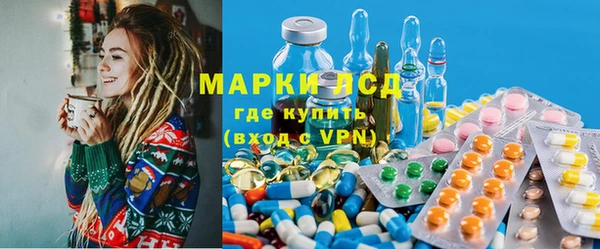дмт Аркадак