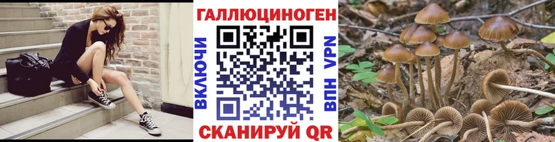 Псилоцибиновые грибы ЛСД  MEGA ТОР  Новопавловск  купить закладку 